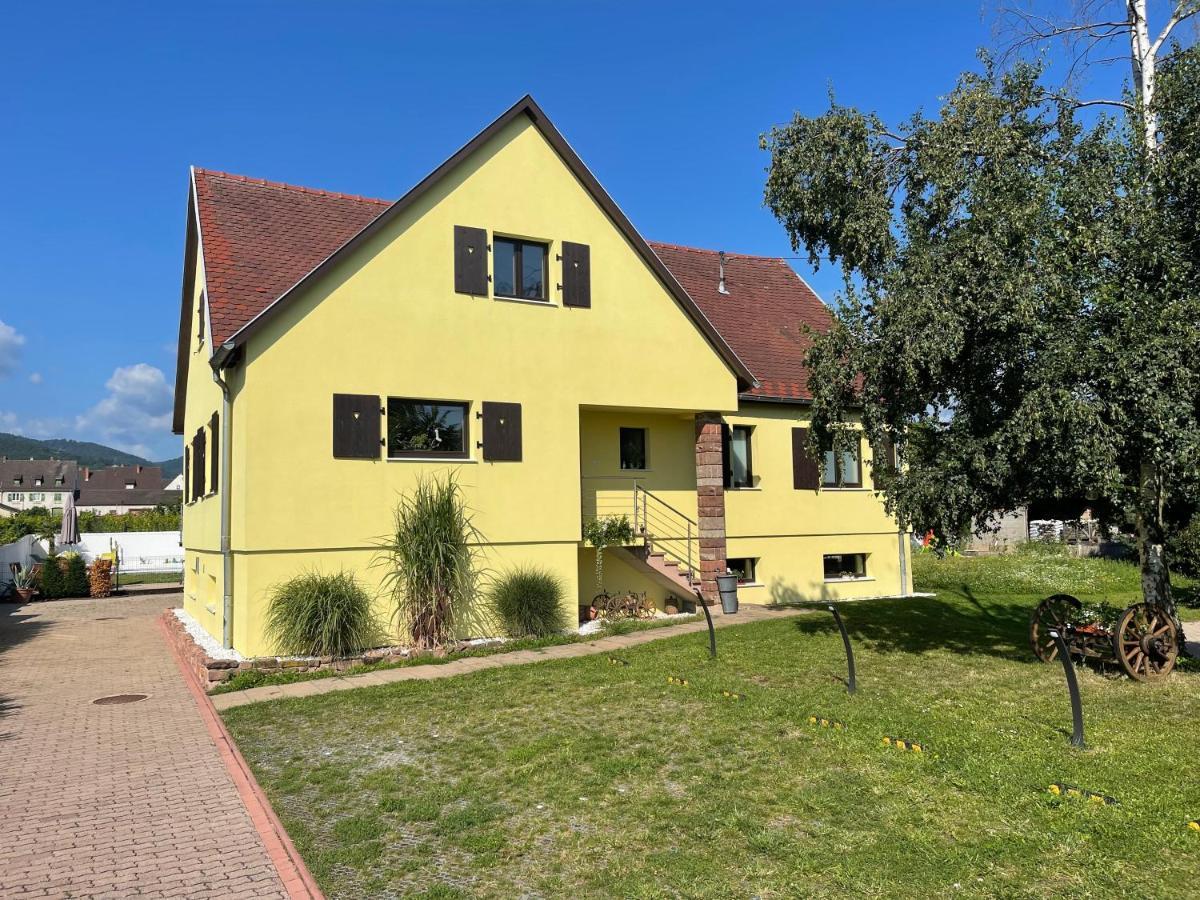 Alsacebnb - Gite 12 Personnes Dans Le Vignoble - Piscine Privee & Spa Ammerschwihr Exterior photo