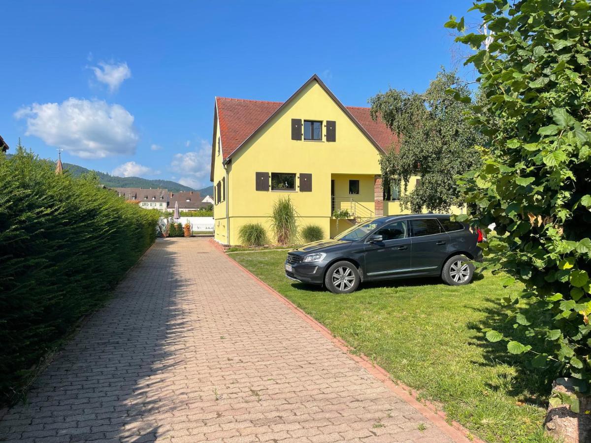 Alsacebnb - Gite 12 Personnes Dans Le Vignoble - Piscine Privee & Spa Ammerschwihr Exterior photo