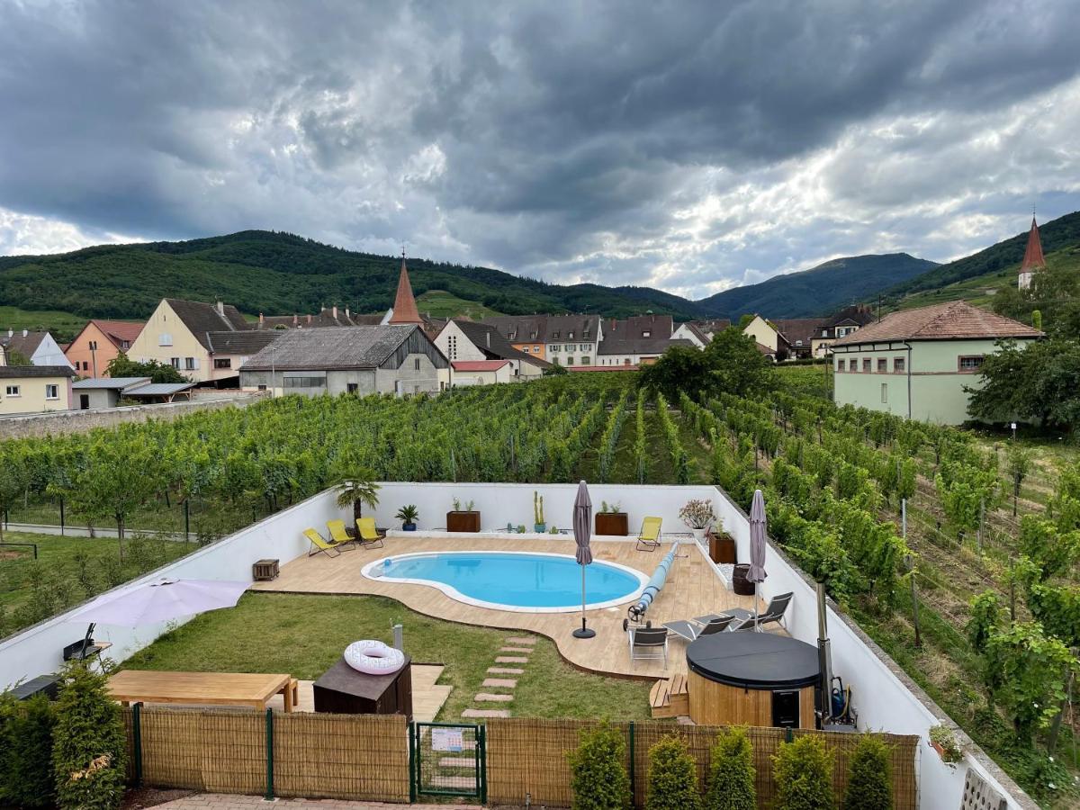 Alsacebnb - Gite 12 Personnes Dans Le Vignoble - Piscine Privee & Spa Ammerschwihr Exterior photo