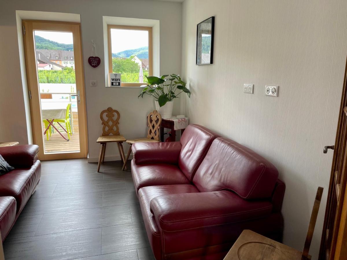 Alsacebnb - Gite 12 Personnes Dans Le Vignoble - Piscine Privee & Spa Ammerschwihr Exterior photo